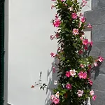 Bellonda Hotel 4*