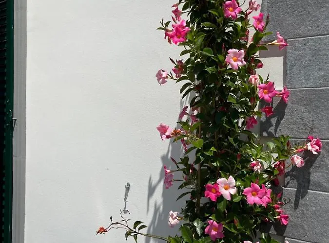 Bellonda Отель 4*