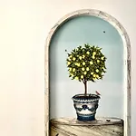 Hotel Bellonda Forte dei Marmi