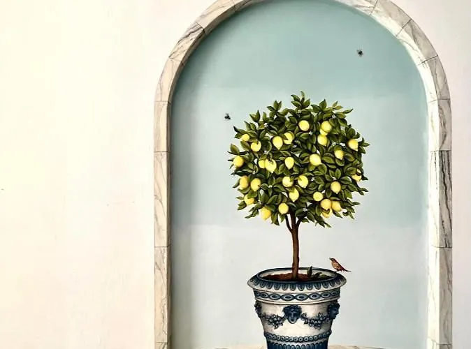 Hotel Bellonda Forte dei Marmi